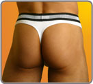 New Sport Line