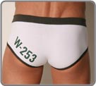 W-253