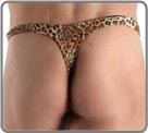 Savanna