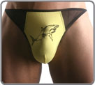 Shark