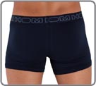 Boxerlines