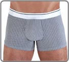 A model in a cotton polyester elasthan. A thin stripe on grey background mottled, enhanced with a beautiful white Microfiber waist band. An ideal line for the business man.