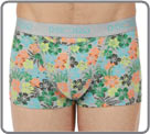 Pack of 2 boxerbriefs (1 plain grey, 1 green printed) ideal for daily wear. H01...