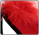 Red Feather