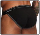 Waistband II