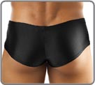 Bulge