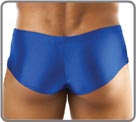 Bulge