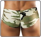 Bulge