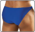 Bulge