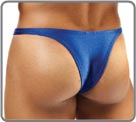 Bulge