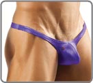 Bulge