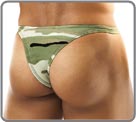 Bulge