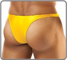 Bulge