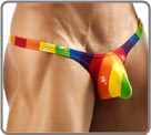 Bulge