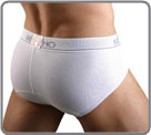 Anatomic Cup