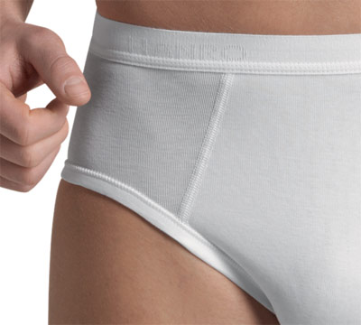 Hanro - Brief Cotton Pure