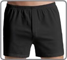 Ref. 3094. Pure aesthetics, the natural luxury of finest silk. Soft elastic silk/modal blend with a modern texture. Excellent wearing comfort. Soft waistband with HANRO logo on the inside. Microjersey micromodal / silk.