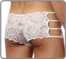 Lace Panel