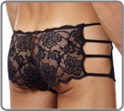 Lace Panel