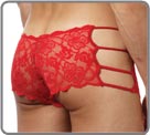 Lace Panel