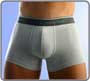 Boxer Silver
