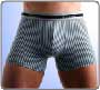 Boxer Silver Rayure