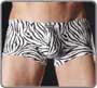 Boxer Zebra