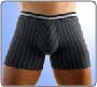 Boxer Maxims