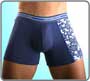 Boxer Twist