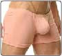 Boxer Tropic