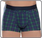 Boxer Hom - Scottish...