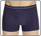 Boxer Hom - Aristo...