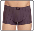 Boxer Hom - Elegant II...