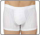 Boxer brief Hom - Insider