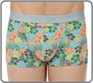 Boxer brief Hom - Aloha x2