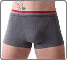 Boxer Hom - Boxerlines