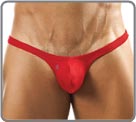 Thong Joe Snyder - Bulge