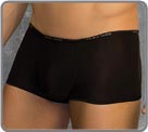 Boxer Doreanse - Finesse...