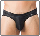 Brief Gregg Homme - Venom