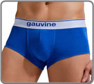 Boxer Gauvine - 3000...