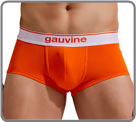 SPOTLIGHT Gauvine