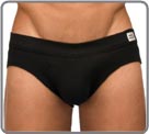 Brief Modus Vivendi - Pure