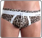 Jock Modus Vivendi - Safari